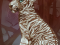 1371669250.katanimate_1wtiger_sm.png